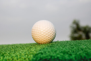 Close-Up View of a White Golf Ball on Green Grass in Outdoor Setting