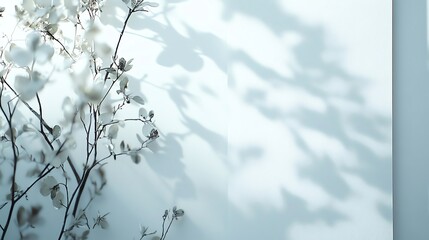 Delicate plant casting soft, intricate shadows on a light wall, creating a serene and minimalistic atmosphere. Perfect for nature and design themes.