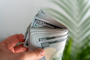 Person holding thick curved stack of US one hundred dollar bills with tropical palm leaf in blurred...