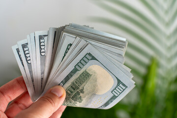 Close-up of fingers holding thick folded stack of US 100 bills with blurred tropical leaf...