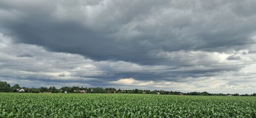 chmury kukurydza © mobile