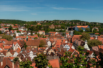 Tubingen travel destination town aerial red roof houses view