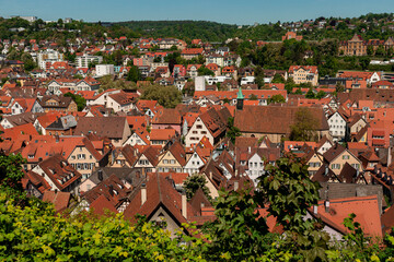 Tubingen travel destination town aerial red roof houses view
