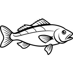 Cod line art vector