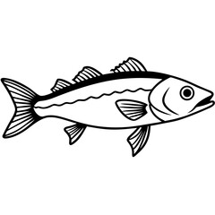 Cod line art vector