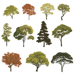 trees, tree elevation, set of trees, vector tree, cad