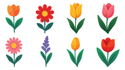 Beautiful Flowers Illustration Wedding gift Invitation Card Bouquet Blooming Floral Elements in Colorful Artistic Style for Nature Decor, Botanical Designs, and Elegant Background Art