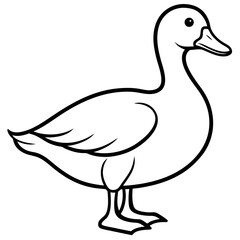 Duck line art vector