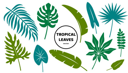 Tropical green leaves flat icons set isolated on white background. Vector illustration. Tropic floral poster banner. Summer Hawaiian vacation design elements. Rainforest garden, palm banana plant © kotoffei