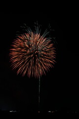夏の夜空に咲く大輪の花火