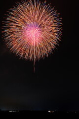 夏の夜空に咲く大輪の花火