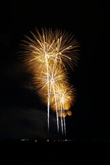 夏の夜空に咲く大輪の花火