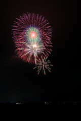 夏の夜空に咲く大輪の花火