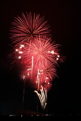 夏の夜空に咲く大輪の花火