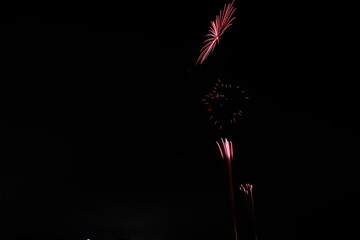夏の夜空に咲く大輪の花火