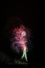 夏の夜空に咲く大輪の花火
