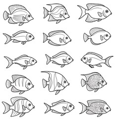 Fototapeta premium 線描の魚たち：海の静寂