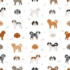 Cavapoo, Cavoodle clipart. Cavalier King Charles Spaniel Poodle mix. Different coat colors set.  Vector illustration
