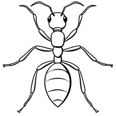 Ant line art vector