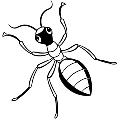 Ant line art vector