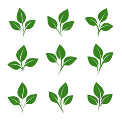 Illustration green sprout leaves seamless pattern with 3 leaf variations