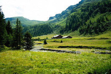 mountain landscape in the summer (High Tauern, Austria)
