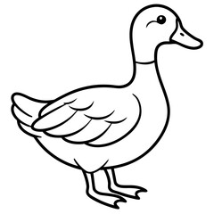Duckie line art vector
