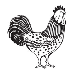 Rooster icon, black vector silhouette of farm chicken bird illustration for agriculture, poultry, or rural themes