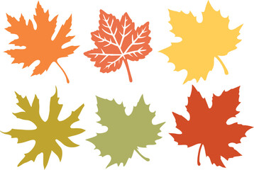 Obraz premium Six Colorful Autumn Maple Leaves Illustration