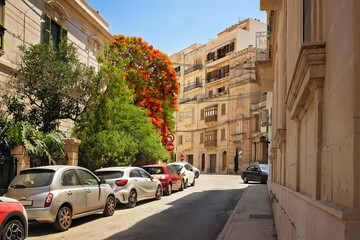 Quiet European street with parked cars along a metal fence, tropical plants, old buildings, and road signs. Concept of summer, travel, and everyday urban life.