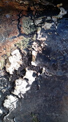 Abstract Cracked Surface with Natural Textures, Earthy Tones and Patterns