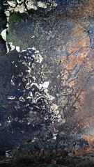 Abstract Cracked Surface with Natural Textures, Earthy Tones and Patterns