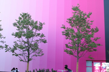 Vibrant Pink Wall with Gradient Stripes and Green Trees in Urban Setting