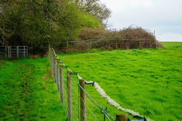 A fence in a field with an electric fence 