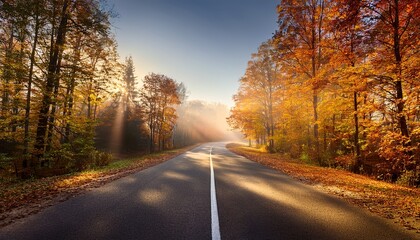 a deserted road in a pale morning light through an autumn forest
