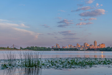 Sunset view of Obolon district in Kyiv with the Wave pedestrian bridge, riverside island flats, lily pads in foreground, and modern apartment skyline under a pastel sky.