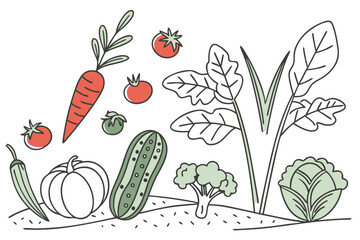 Illustration of a vegetable garden with a variety of vegetables