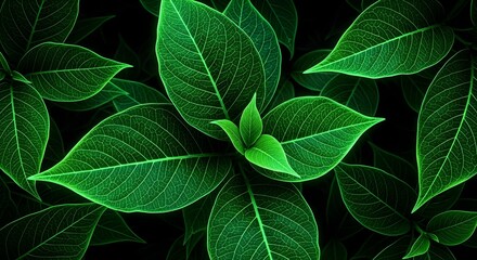 Detailed close-up view of shiny green leaves with intricate veins, displaying nature's symmetry and beauty.