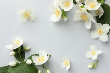 Obraz premium Beautiful jasmine flowers with leaves on light background, flat lay. Space for text
