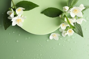 Beautiful jasmine flowers with leaves on green background, flat lay