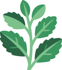 Flat Style Peppermint Leaf Vector – Simple Herbal Plant Illustration for Food and Nature Design