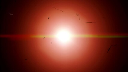 pack on vintage fast light transition on grunge light leak lens flare