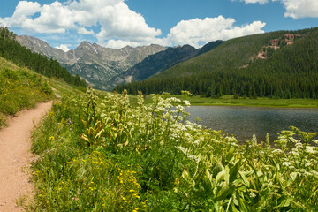 Piney river Ranch near Vail Colorado during Summer.