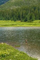 Piney river Ranch near Vail Colorado during Summer.