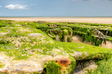 Bunker remains from the Pointe du Hoc defense in Normandy, algae and seaweed