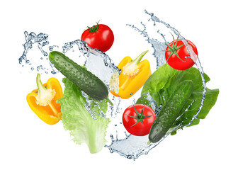 Fresh vegetables and water splashes in air on white background