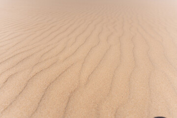 Close-up view of golden sand with natural wavy ripple patterns created by wind, captured in soft...