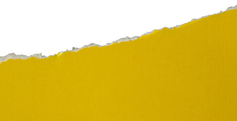 PNG Ripped yellow paper torn edges with transparent background paper tear