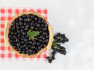 Fresh ripe black currant with leaves in a small basket. Gardening, harvest, healthy food concept