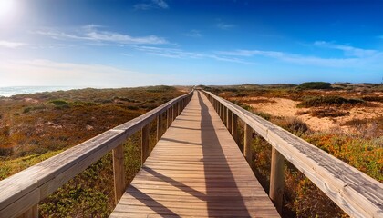 long distance walkway costa vicentina dunes landscape west algarve portugal